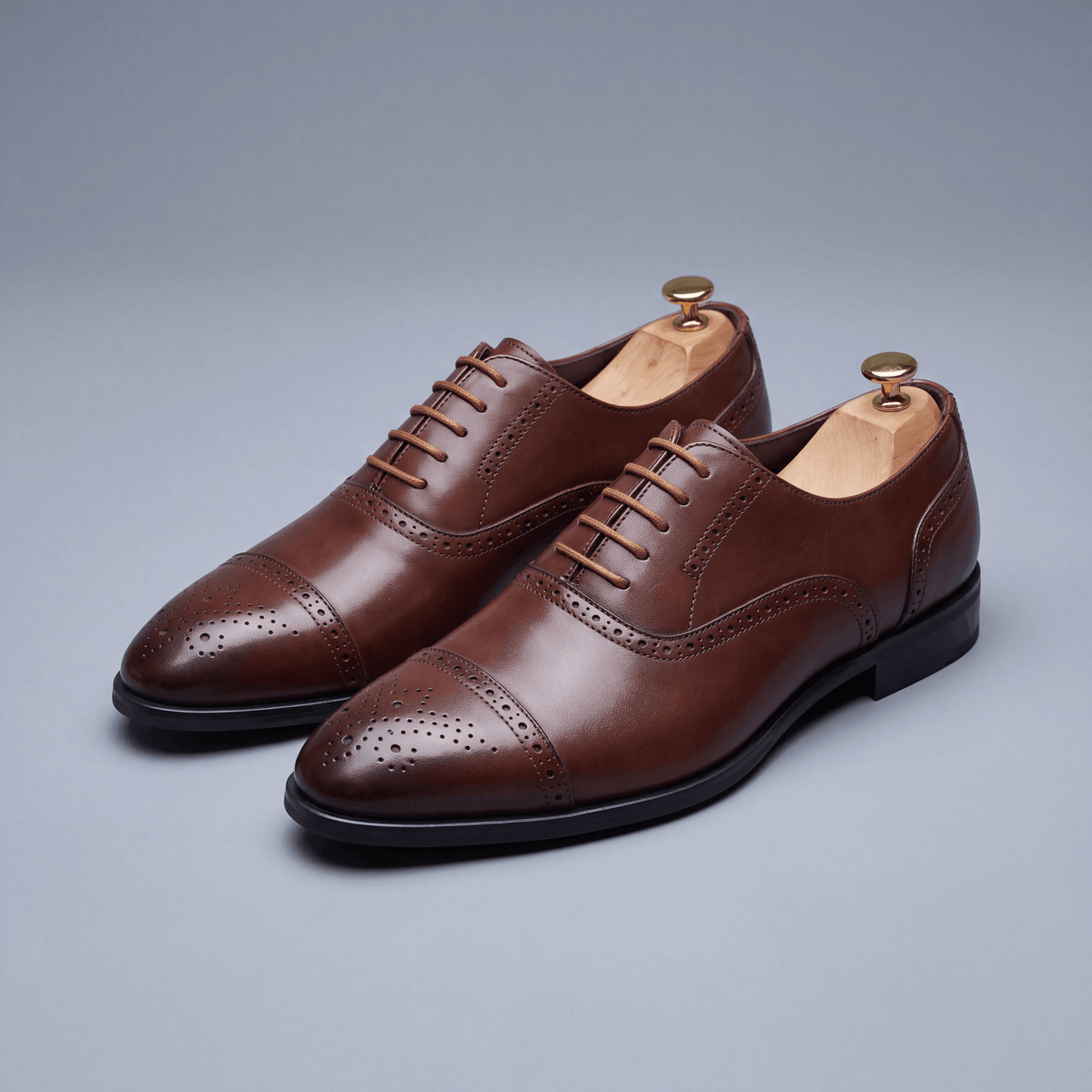 OXFORD ROYAL BROGUE
